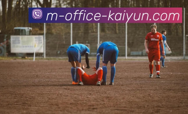 开云平台生态图